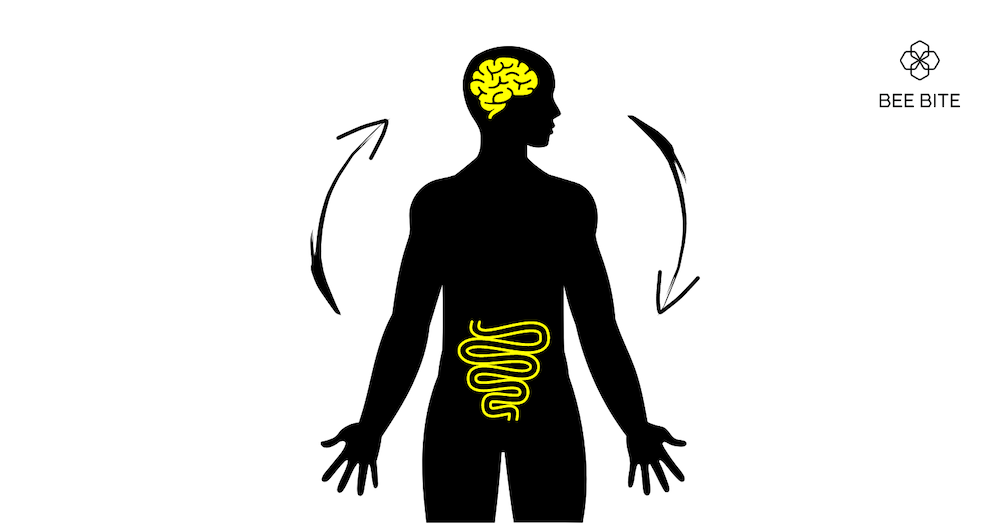 Bee bread – a valuable product for enhancing intestinal microbiota