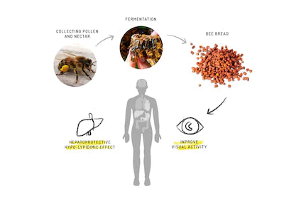 HOW TO STRENGTHEN IMMUNITY WITH BEE BREAD AND HONEY PRODUCTS