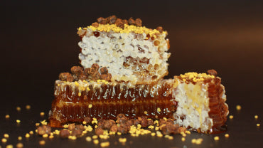 SIMILARITIES AND DIFFERENCES BETWEEN HONEY, POLLEN AND BEE BREAD