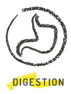 Bee Bite